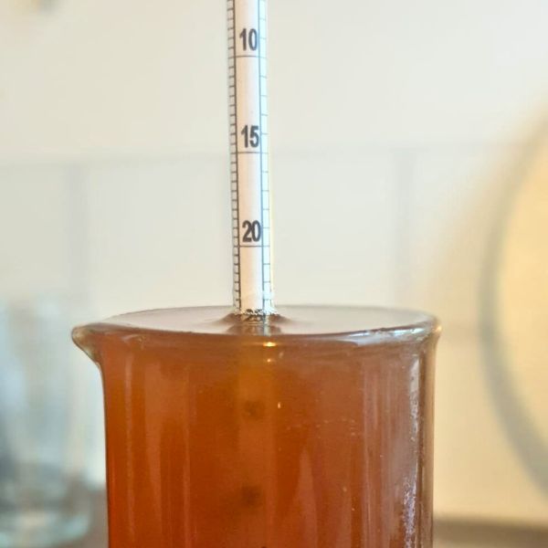 A saccharometer sitting in an amber beer