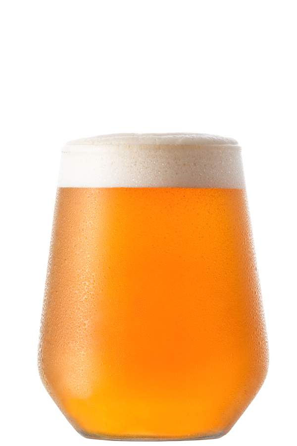 Goosewing IPA