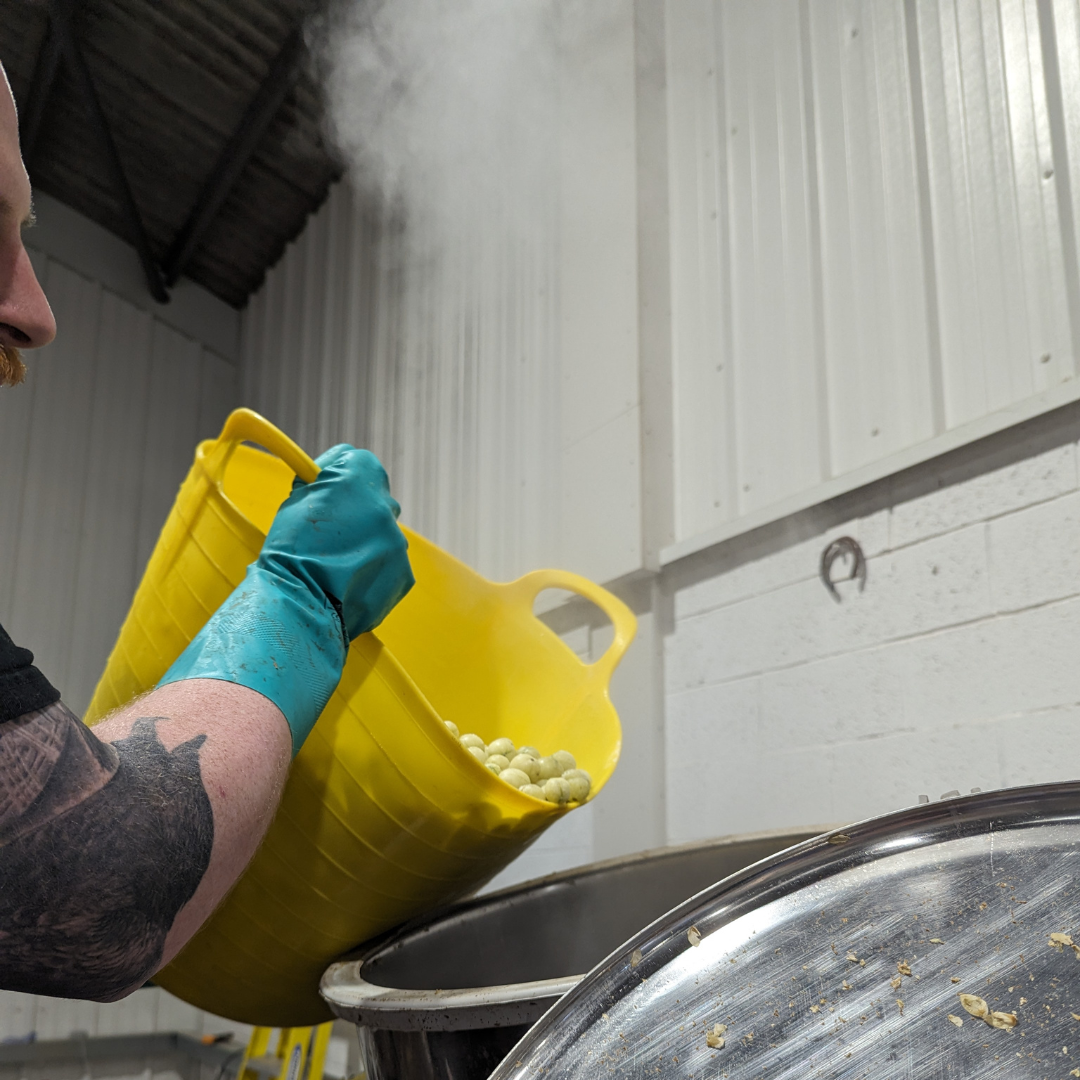 Adding fruit and hops to the boil stage of an alcohol free beer