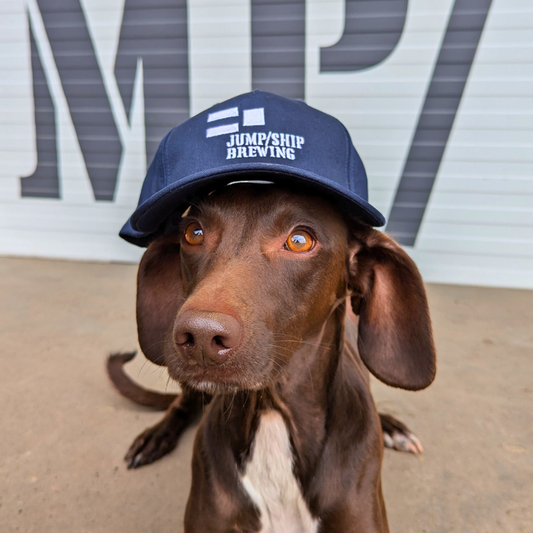 Navy Jump Ship Cap