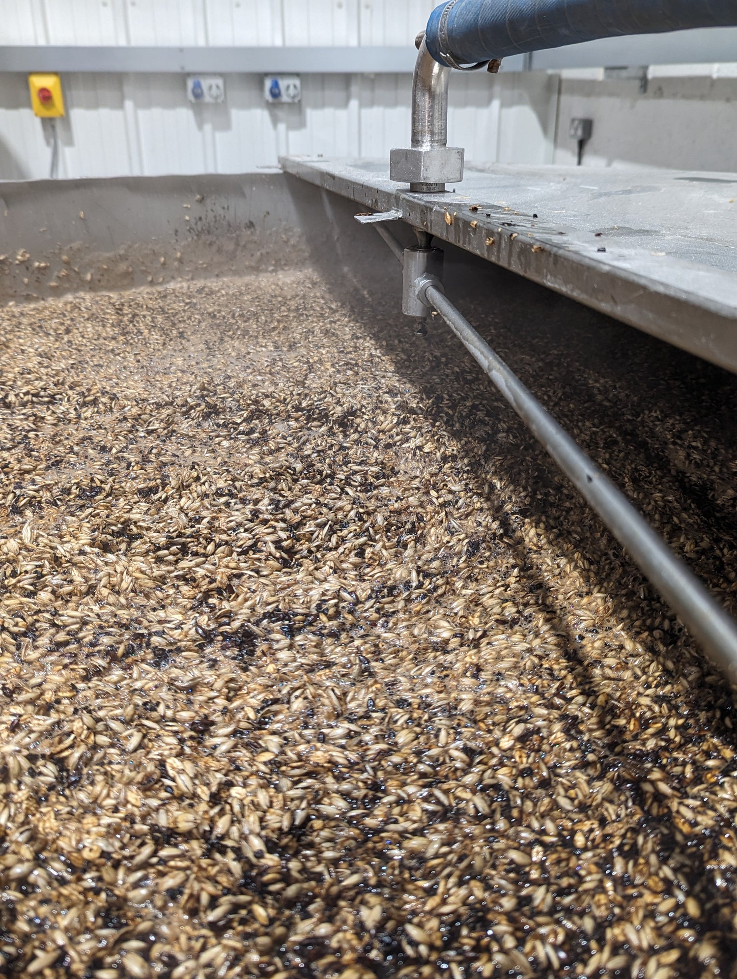 A mash tun full of malt to make alcohol free beer